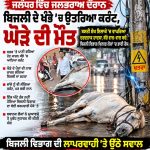 ਜਲੰਧਰ ਵਿੱਚ ਜਲਭਰਾਅ ਦੌਰਾਨ ਬਿਜਲੀ ਦੇ ਖੰਭੇ ’ਚ ਉਤਰਿਆ ਕਰੰਟ, ਘੋੜੇ ਦੀ ਮੌਤ