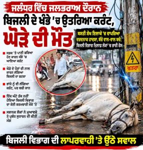 ਜਲੰਧਰ ਵਿੱਚ ਜਲਭਰਾਅ ਦੌਰਾਨ ਬਿਜਲੀ ਦੇ ਖੰਭੇ ’ਚ ਉਤਰਿਆ ਕਰੰਟ, ਘੋੜੇ ਦੀ ਮੌਤ